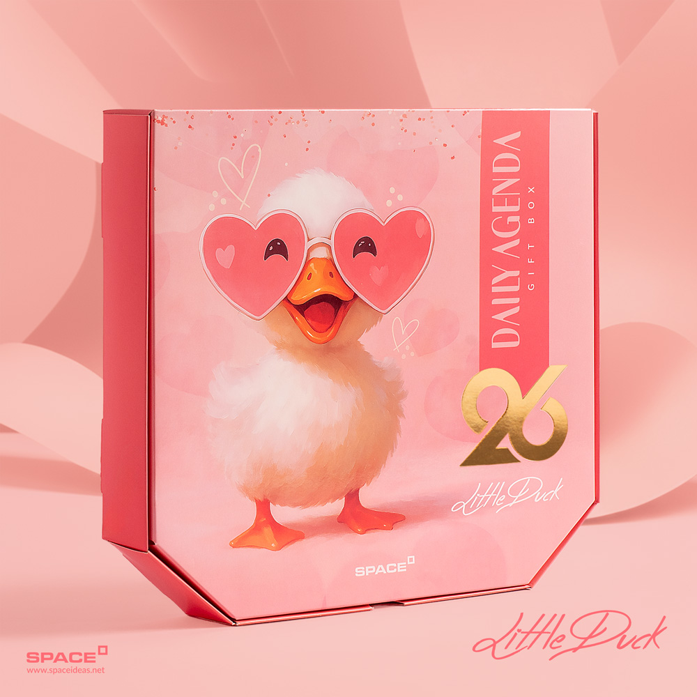 space-Little Duck - Perfect Gift Box-AH-888-2