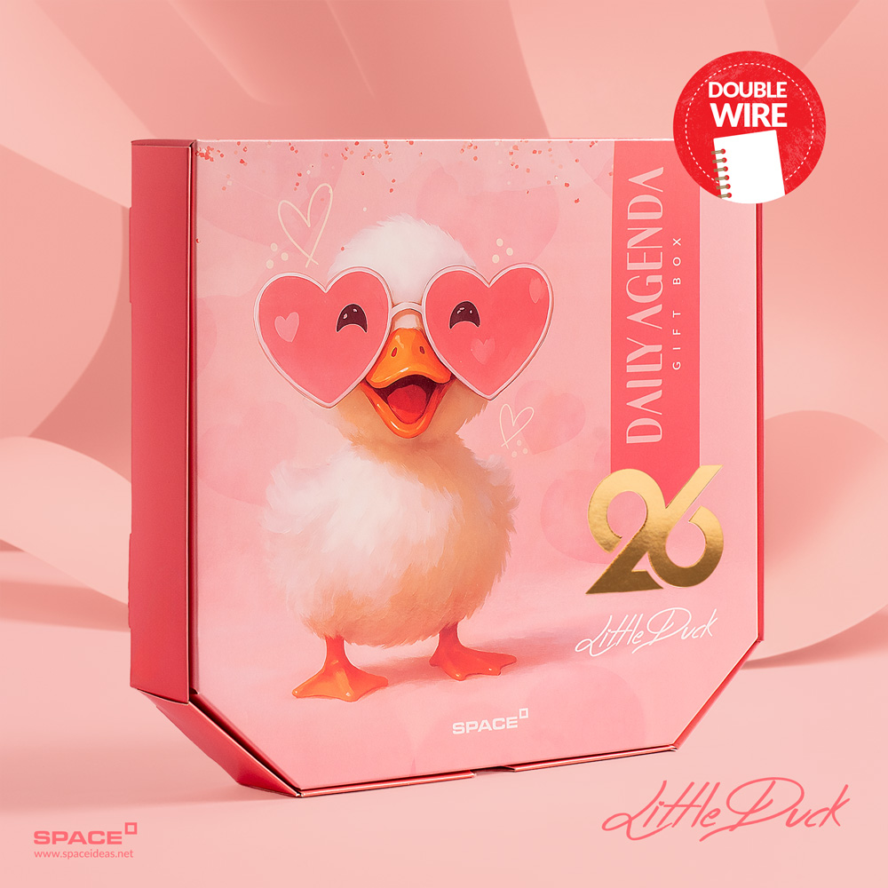 space-Little Duck - Wired Gift Box-AW-888-2